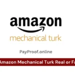 Is Amazon Mechanical Turk Real or Fake?