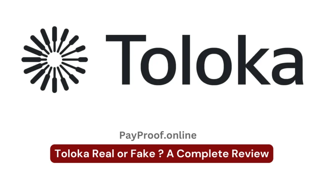 Toloka Real or Fake ? A Complete Review