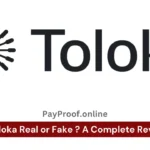 Toloka Real or Fake ? A Complete Review